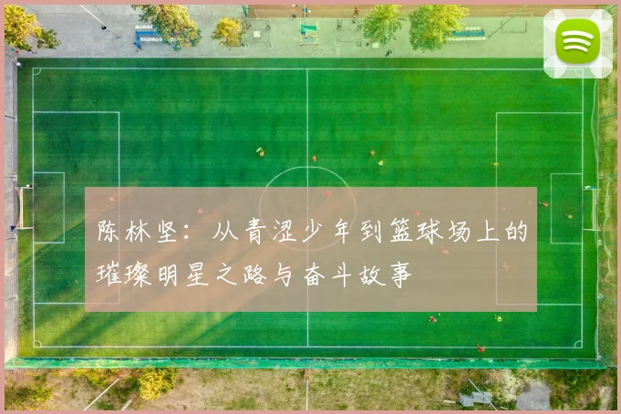 陈林坚：从青涩少年到篮球场上的璀璨明星之路与奋斗故事