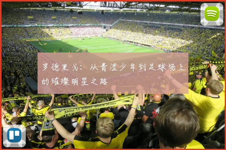 罗德里戈：从青涩少年到足球场上的璀璨明星之路