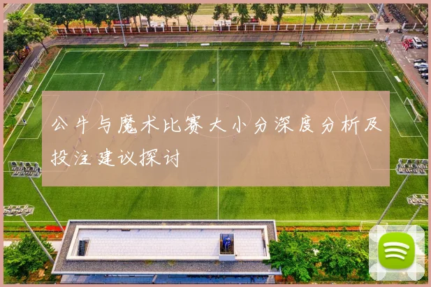 公牛与魔术比赛大小分深度分析及投注建议探讨